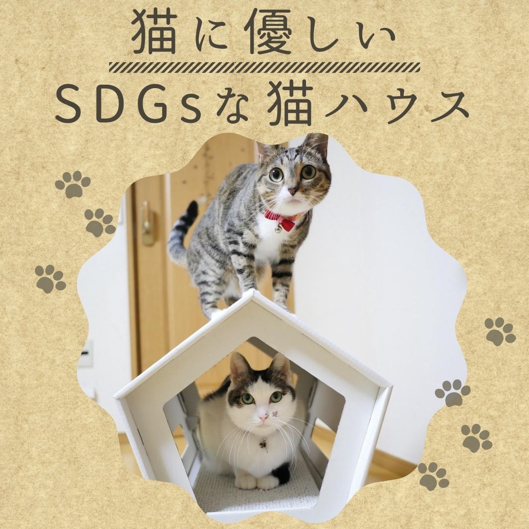 猫に優しいSDGsな猫ハウス：段ボール製のかわいい猫ハウスをご紹介！ - 豊栄産業株式会社