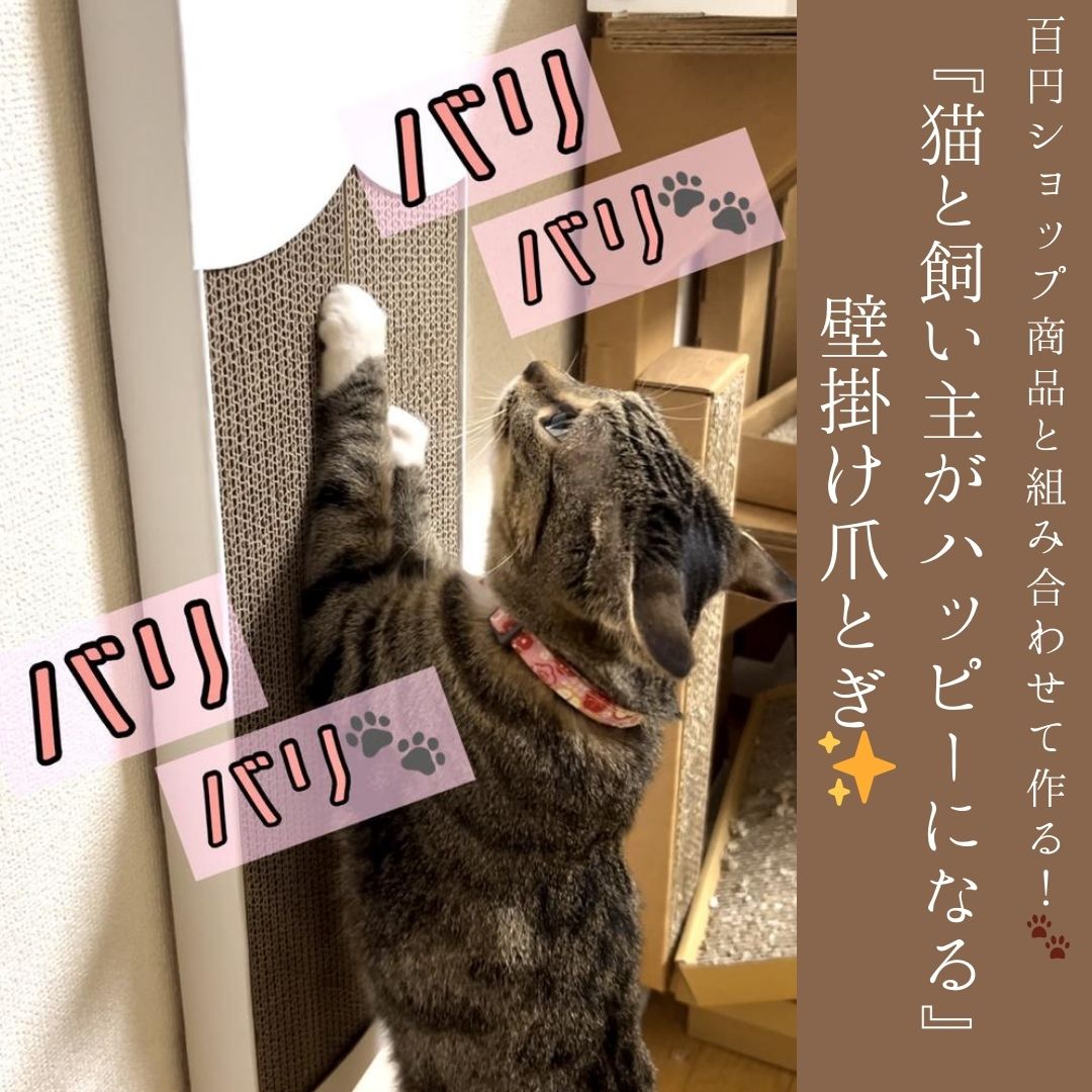 100円ショップ商品と組み合わせて作る！🐾 『猫と飼い主がハッピーになる』壁掛け爪とぎ✨ - 豊栄産業株式会社