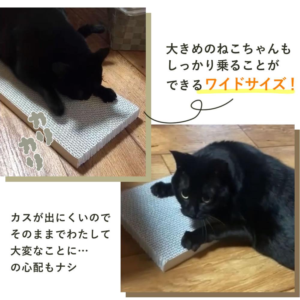 ねこが爪とぎで爪を研いでいる様子