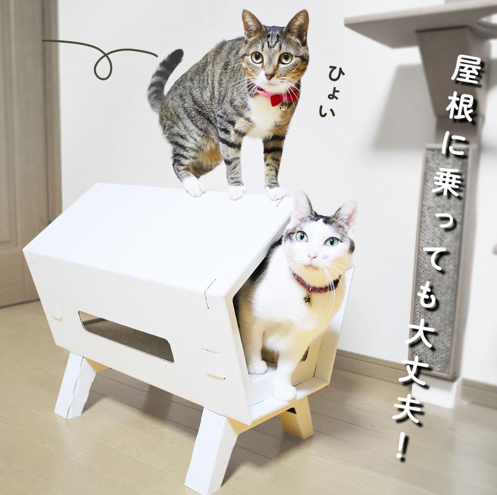 ミルネハウスに猫が乗っている様子