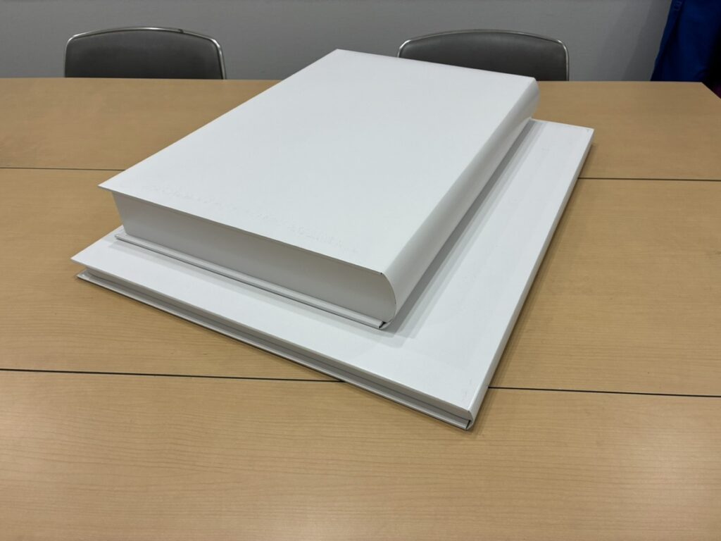 2種類の本のビッグダミー