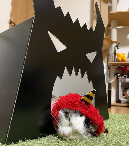 鬼のおうちで眠るネコちゃん
