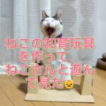 ブログサムネイル