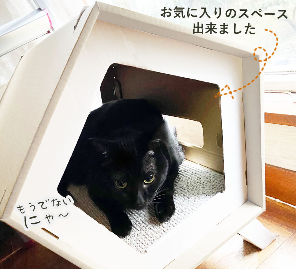 ハウスでくつろぐ猫