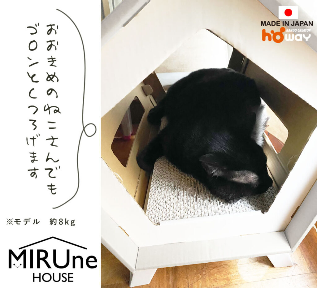 ハウスのなかでくつろぐ猫