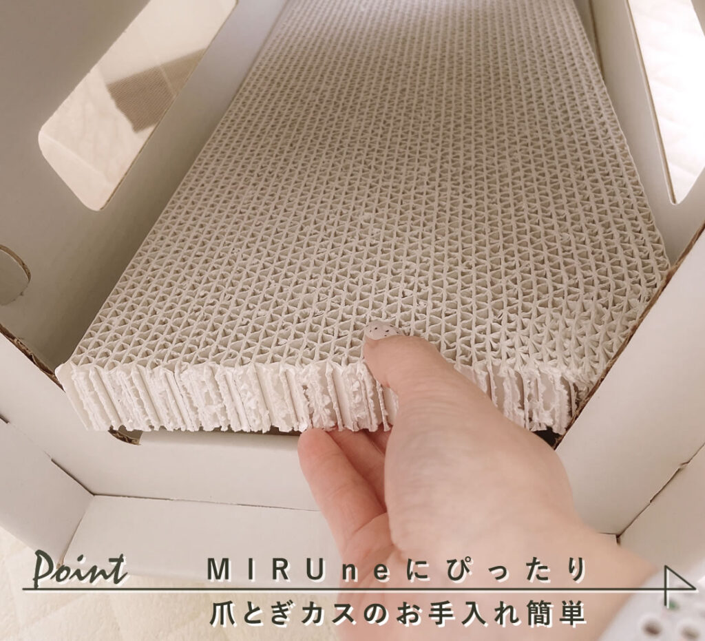 つめとぎアップ