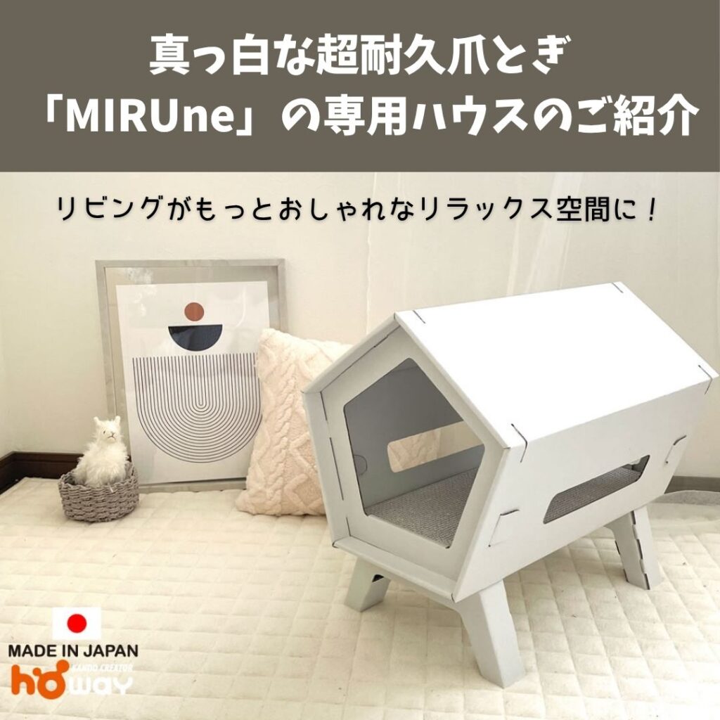 ブログサムネイル
