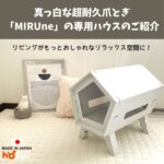 ブログサムネイル